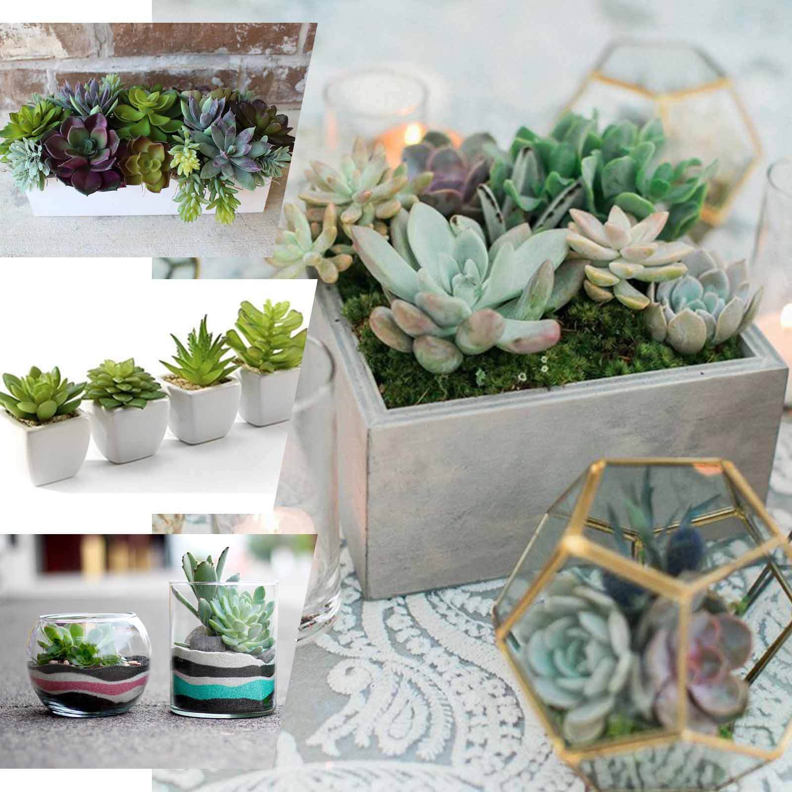 3 Pack 18" Assorted Artificial Aeonium Spray Succulent Air Plants - Linen Luxes