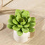 3 Pack 3" Artificial PVC Roundleaf Echeveria Stem Succulent Plants - Linen Luxes