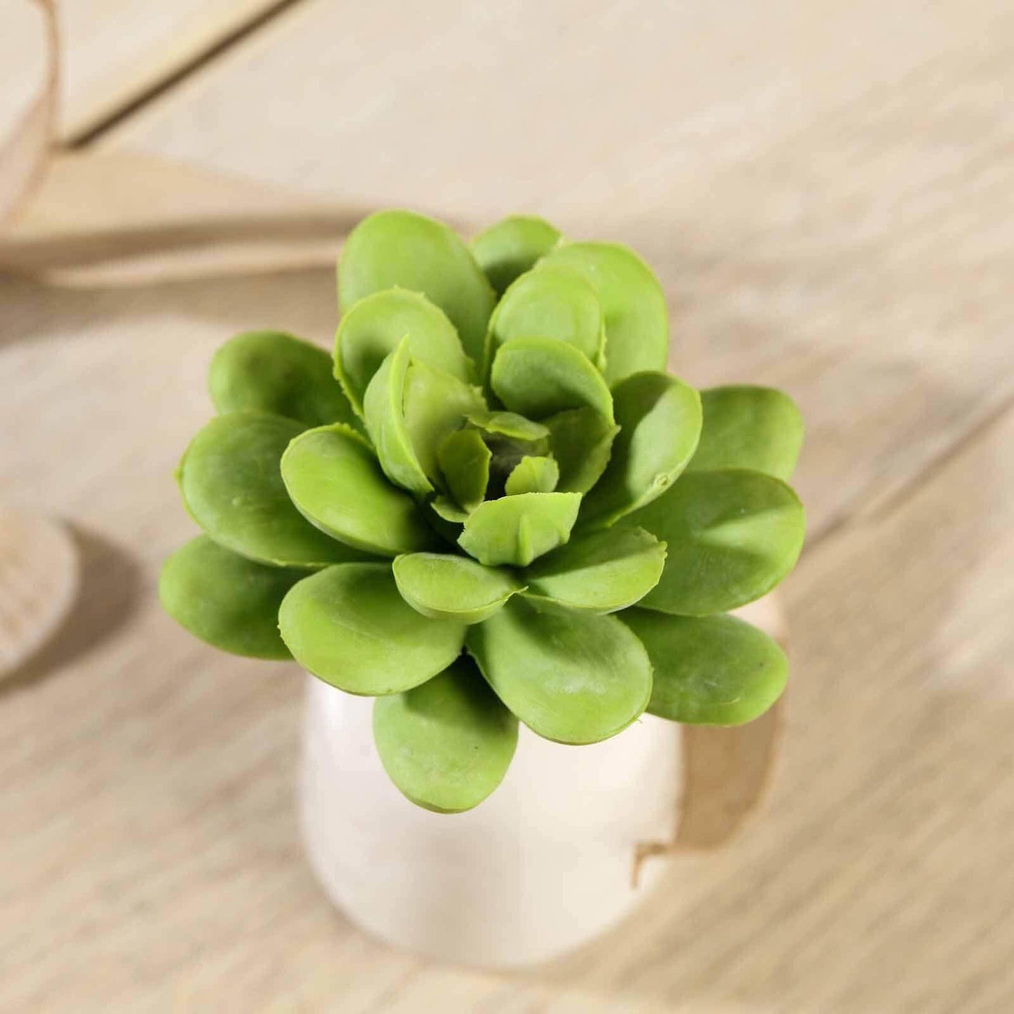 3 Pack 3" Artificial PVC Roundleaf Echeveria Stem Succulent Plants - Linen Luxes