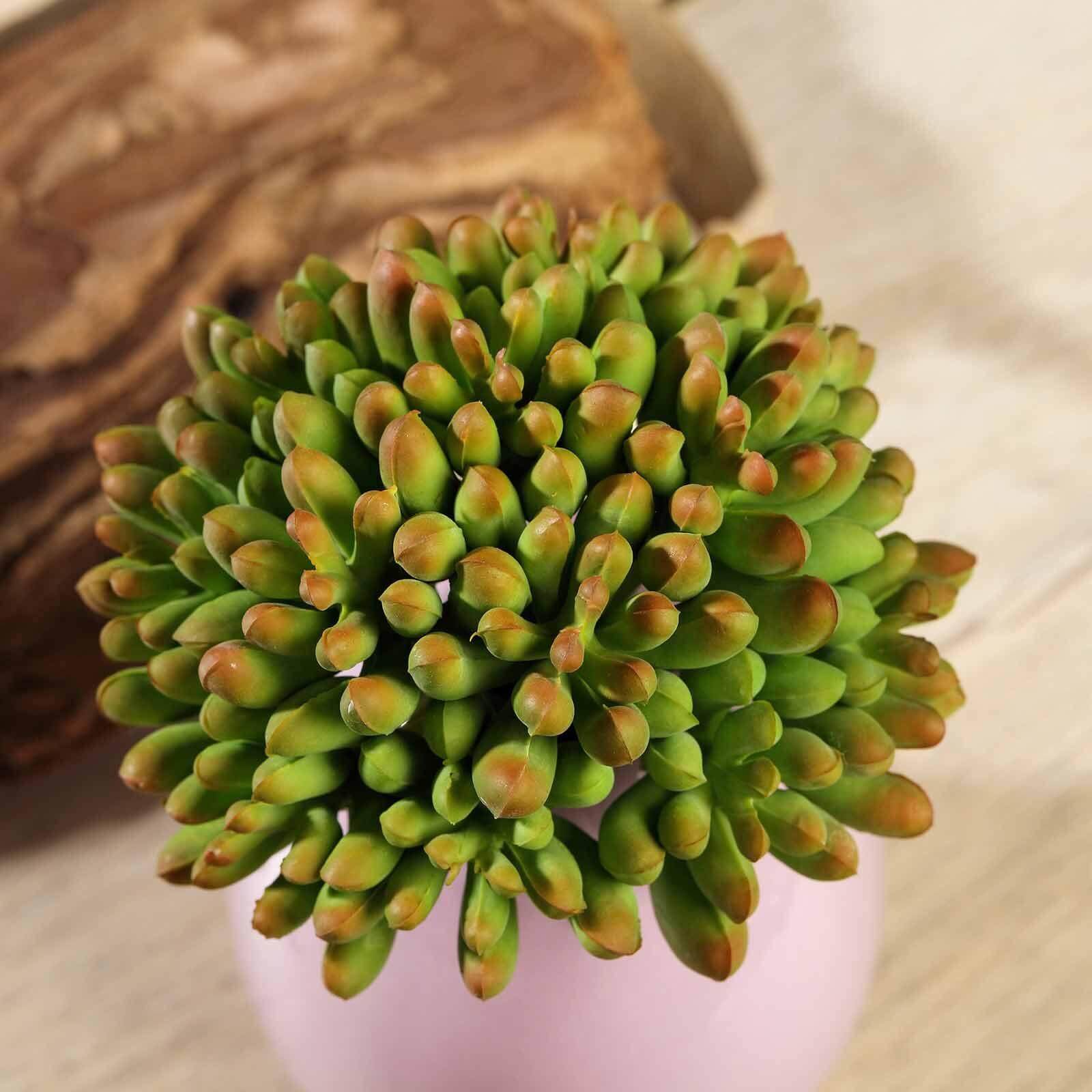 3 Pack 4" Artificial PVC Mini Jelly Bean Decorative Succulent Plants - Linen Luxes