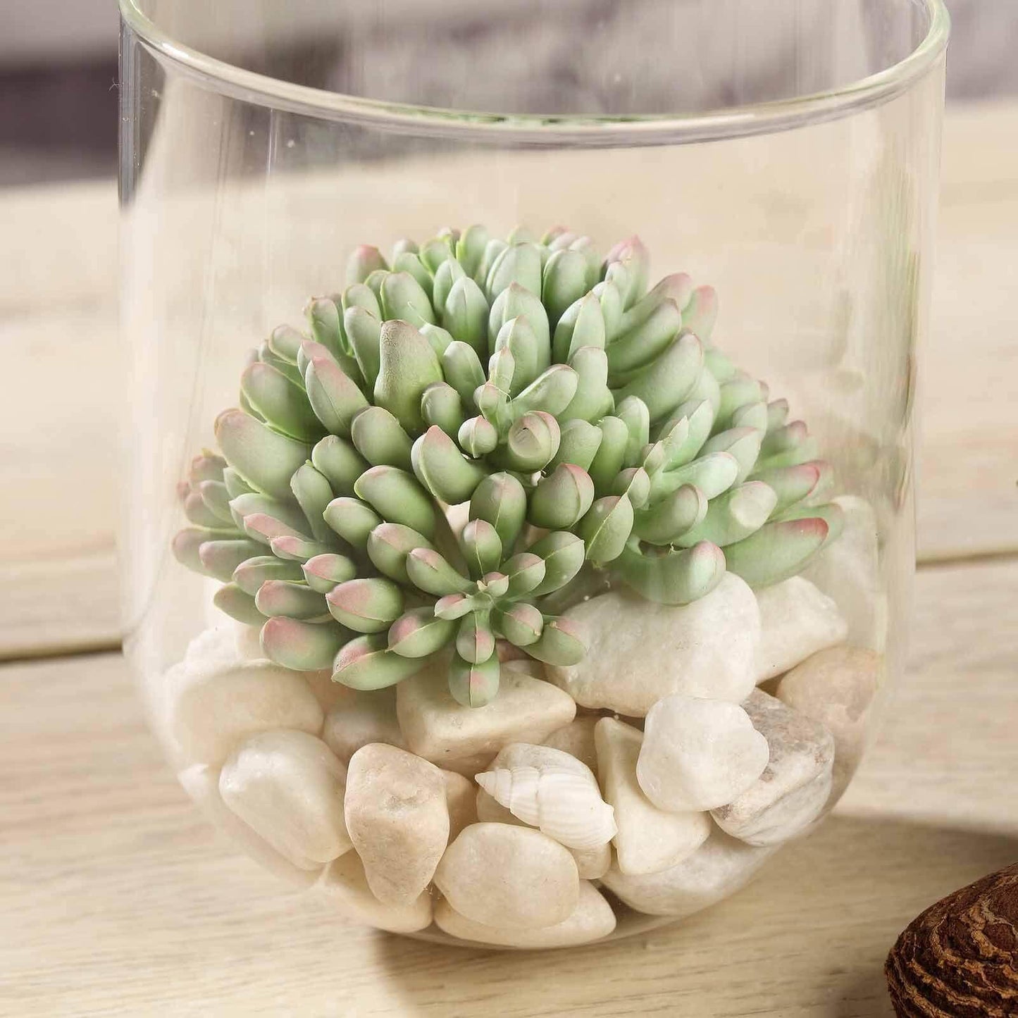 3 Pack 4" Artificial PVC Mini Jelly Bean Decorative Succulent Plants - Linen Luxes