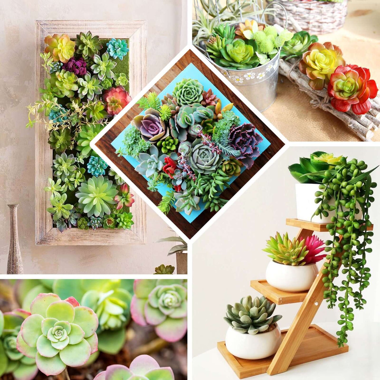 3 Pack 4" Artificial PVC Mini Jelly Bean Decorative Succulent Plants - Linen Luxes