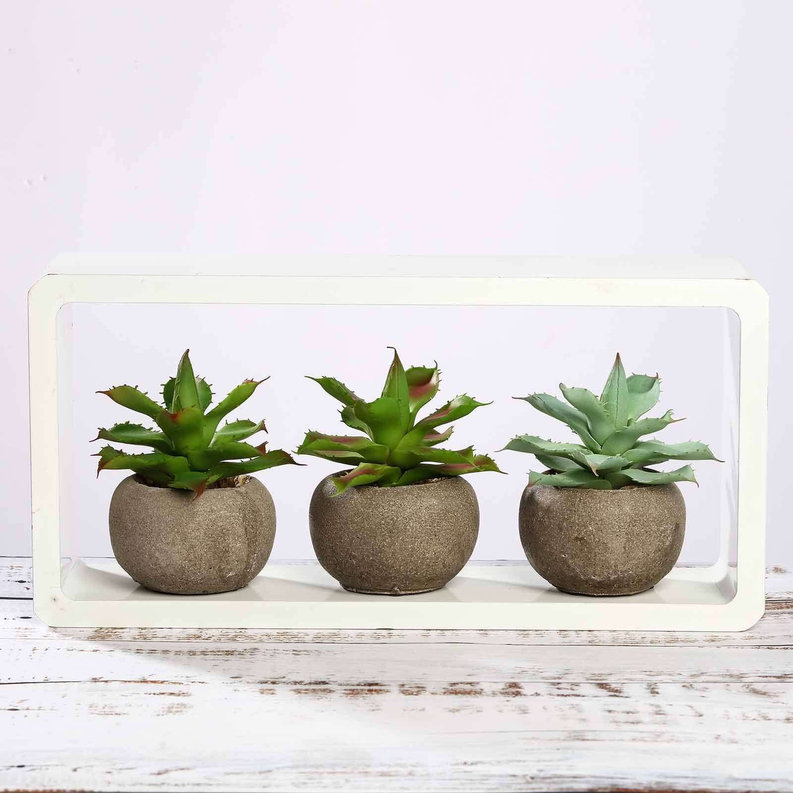 3 - Pack Aloe Artificial Succulents in Ceramic Pot - Lifelike Decorative Faux Plants for Home Office & Event Design 5" - Linen Luxes
