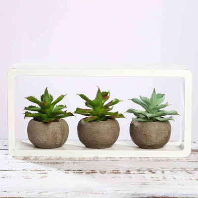 3 - Pack Aloe Artificial Succulents in Ceramic Pot - Lifelike Decorative Faux Plants for Home Office & Event Design 5" - Linen Luxes