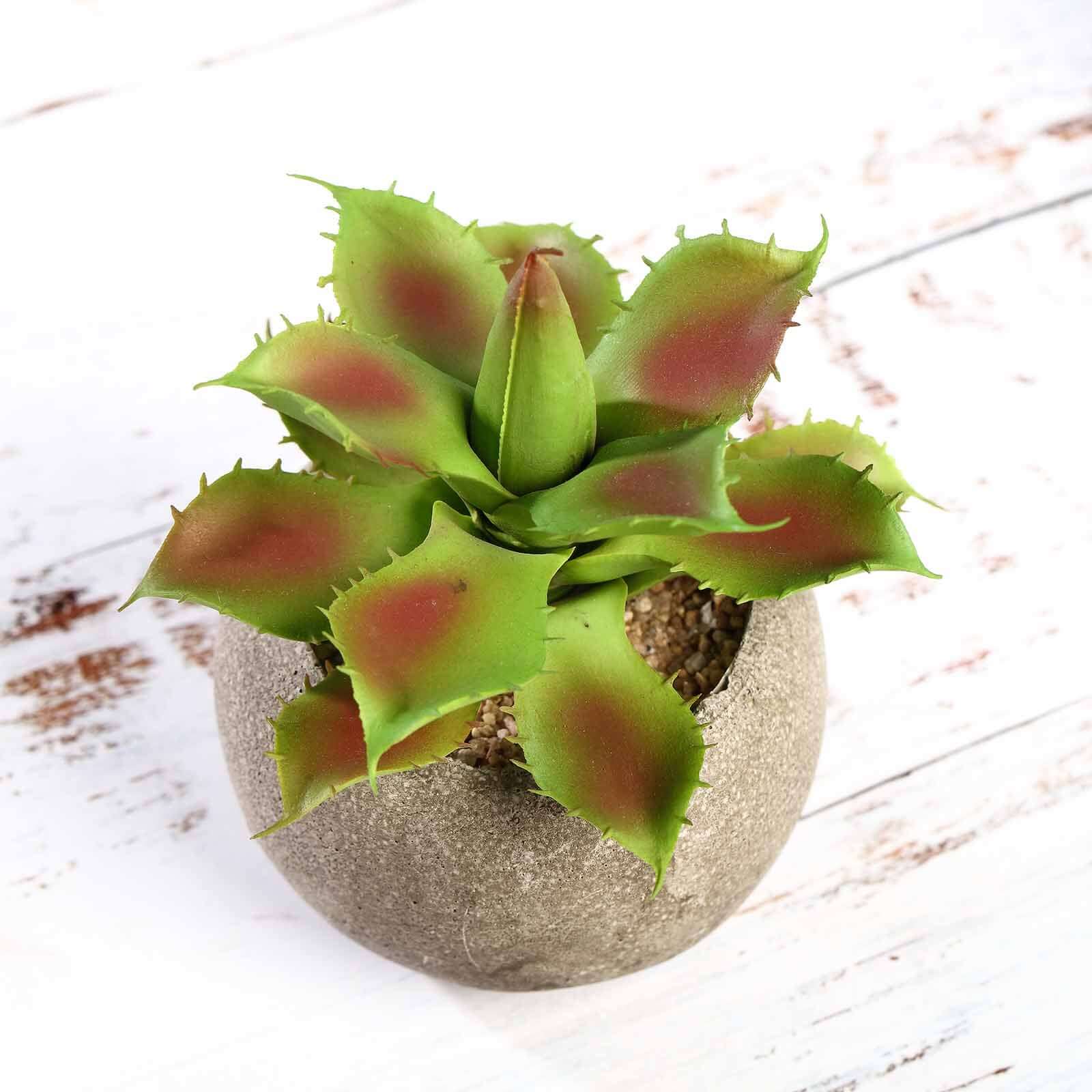 3 - Pack Aloe Artificial Succulents in Ceramic Pot - Lifelike Decorative Faux Plants for Home Office & Event Design 5" - Linen Luxes