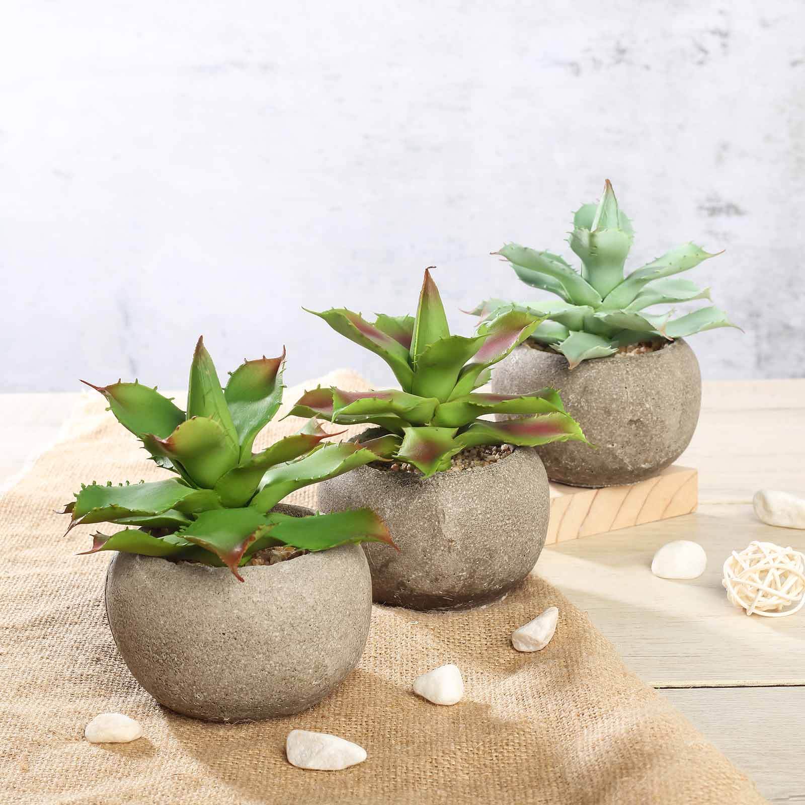 3 - Pack Aloe Artificial Succulents in Ceramic Pot - Lifelike Decorative Faux Plants for Home Office & Event Design 5" - Linen Luxes