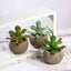 3 - Pack Aloe Artificial Succulents in Ceramic Pot - Lifelike Decorative Faux Plants for Home Office & Event Design 5" - Linen Luxes