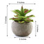 3 - Pack Aloe Artificial Succulents in Ceramic Pot - Lifelike Decorative Faux Plants for Home Office & Event Design 5" - Linen Luxes