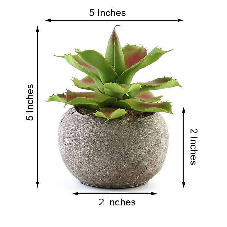 3 - Pack Aloe Artificial Succulents in Ceramic Pot - Lifelike Decorative Faux Plants for Home Office & Event Design 5" - Linen Luxes