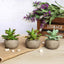 3 - Pack Aloe Artificial Succulents in Ceramic Pot - Lifelike Decorative Faux Plants for Home Office & Event Design 5" - Linen Luxes