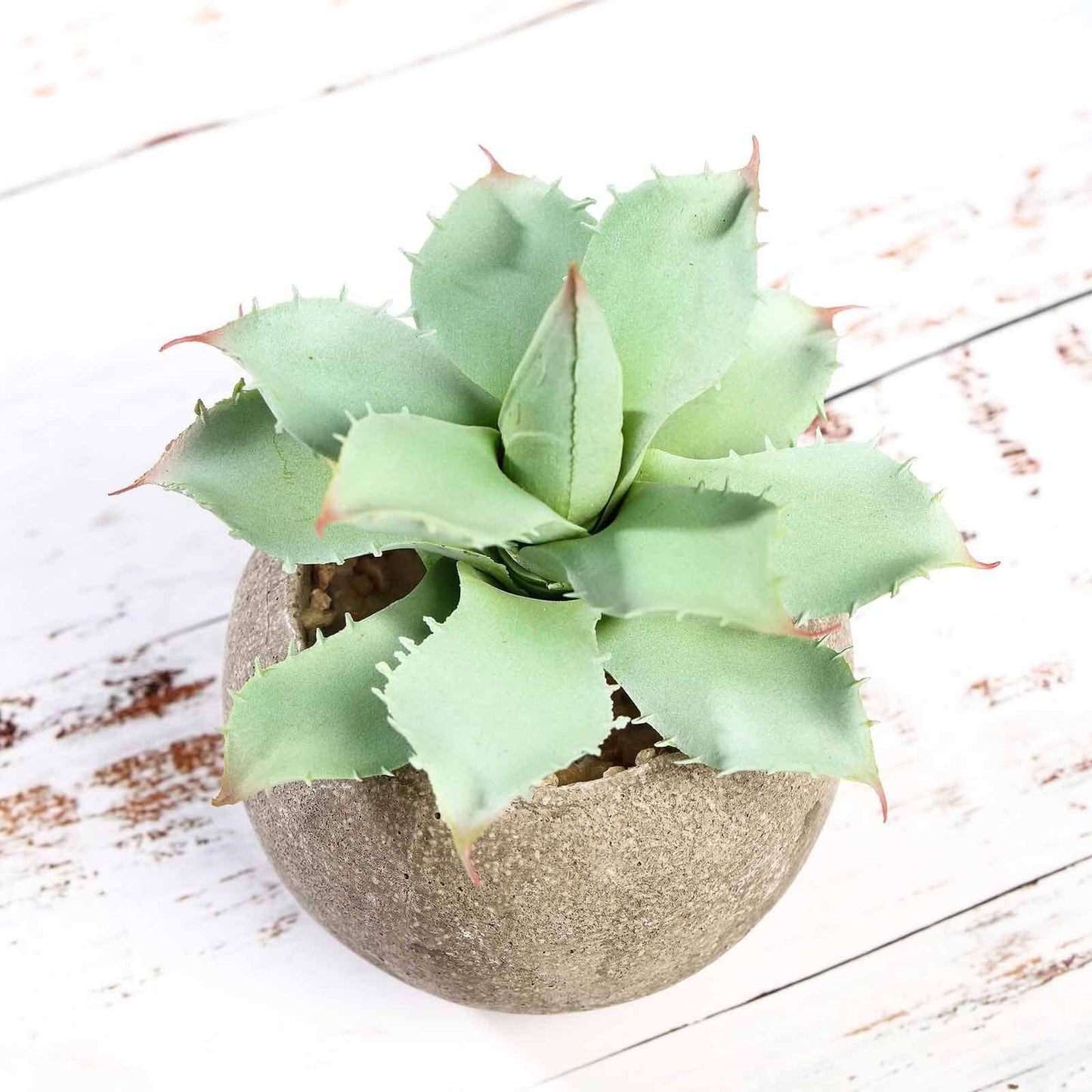 3 - Pack Aloe Artificial Succulents in Ceramic Pot - Lifelike Decorative Faux Plants for Home Office & Event Design 5" - Linen Luxes