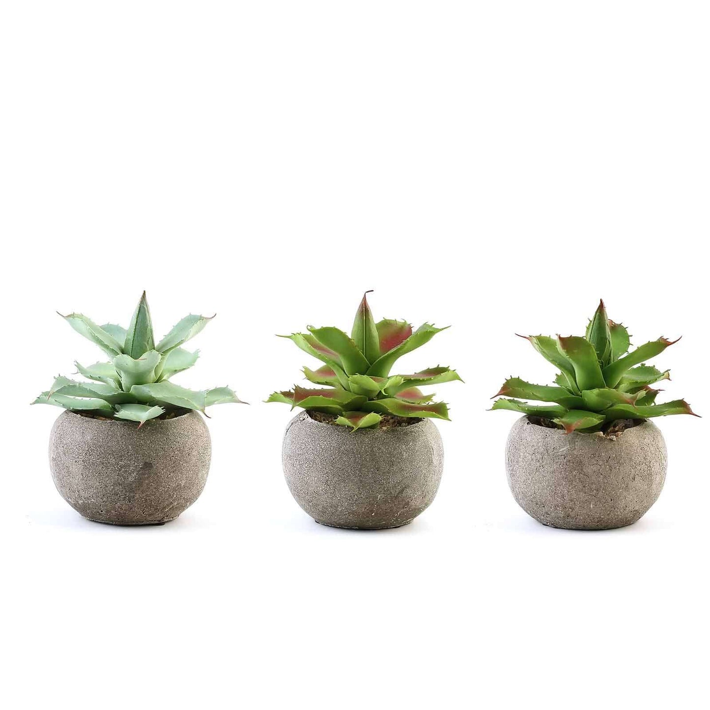 3 - Pack Aloe Artificial Succulents in Ceramic Pot - Lifelike Decorative Faux Plants for Home Office & Event Design 5" - Linen Luxes