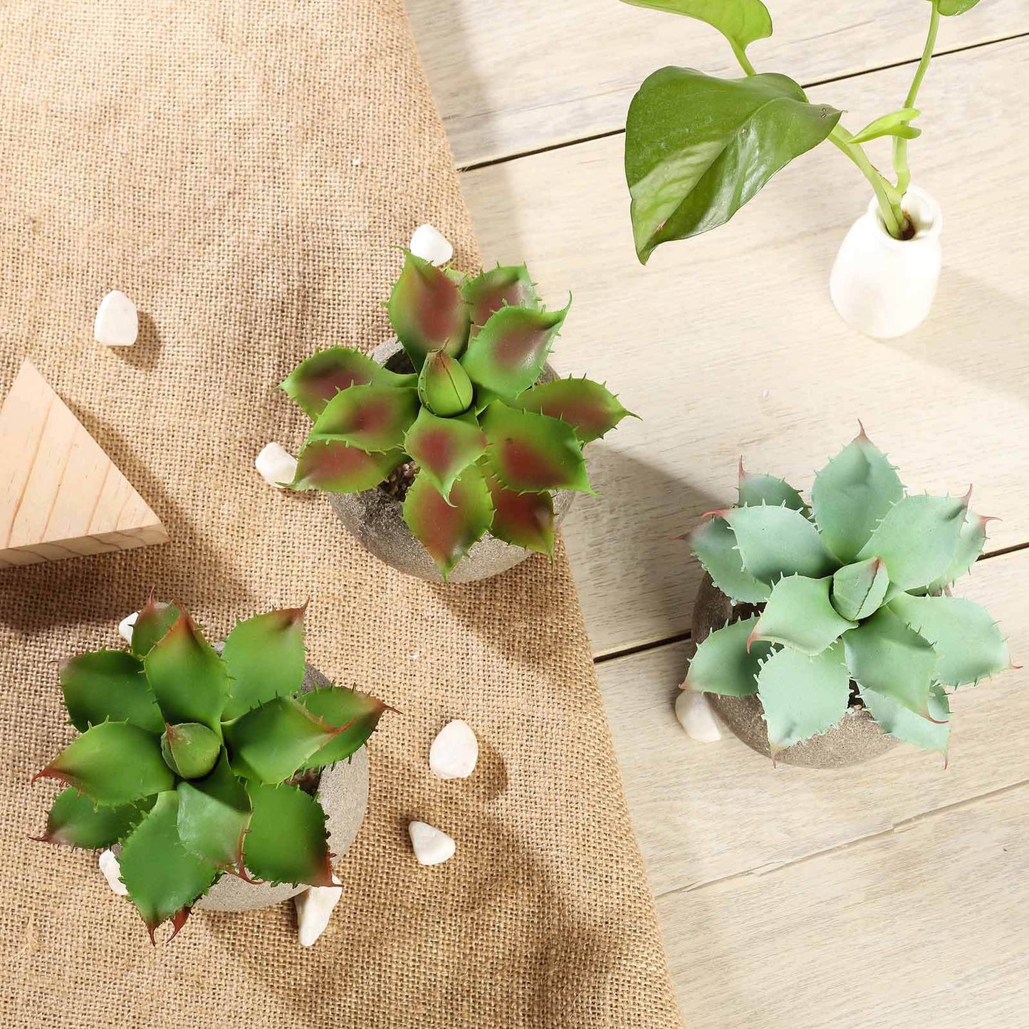 3 - Pack Aloe Artificial Succulents in Ceramic Pot - Lifelike Decorative Faux Plants for Home Office & Event Design 5" - Linen Luxes