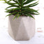 3 - Pack Crassula Artificial Succulents in Geometric Ceramic Pot - Lifelike Decorative Faux Plants for Home Office & Event Design 8" - Linen Luxes