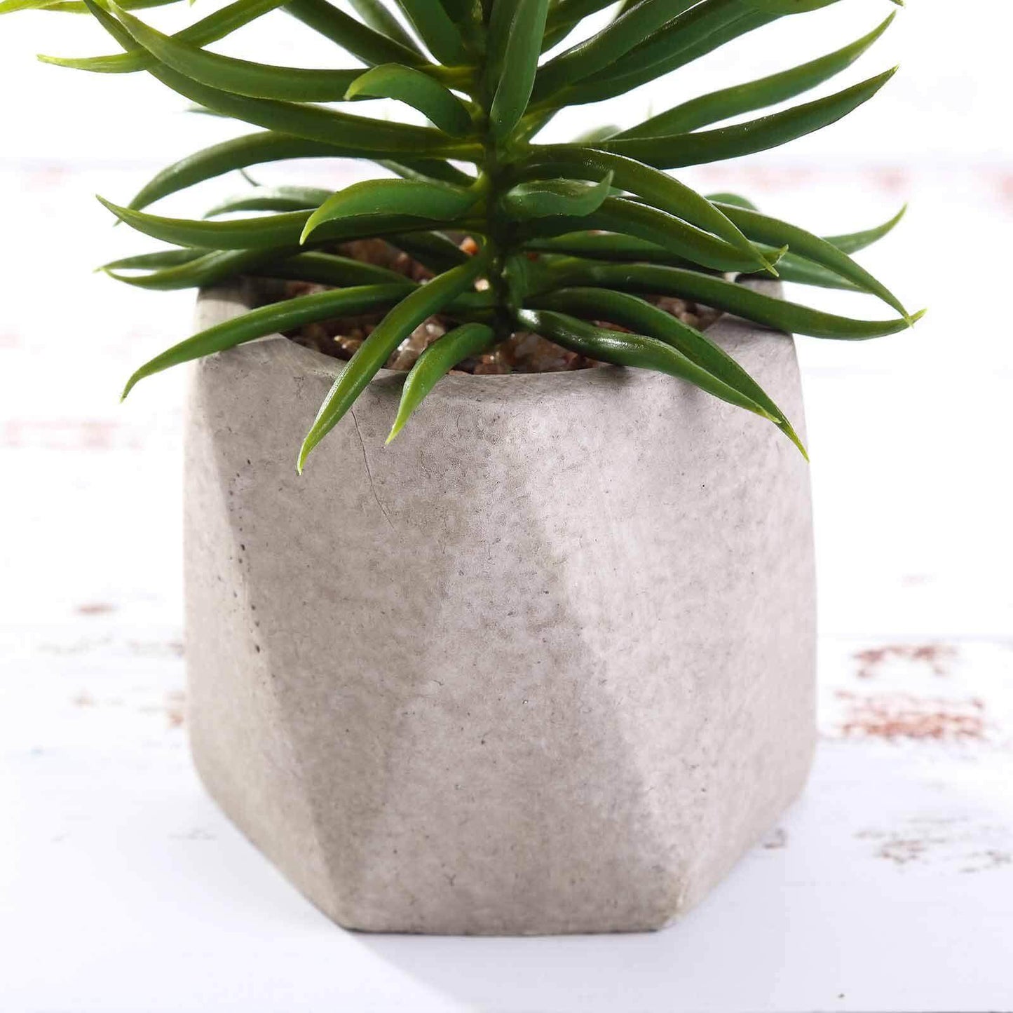 3 - Pack Crassula Artificial Succulents in Geometric Ceramic Pot - Lifelike Decorative Faux Plants for Home Office & Event Design 8" - Linen Luxes
