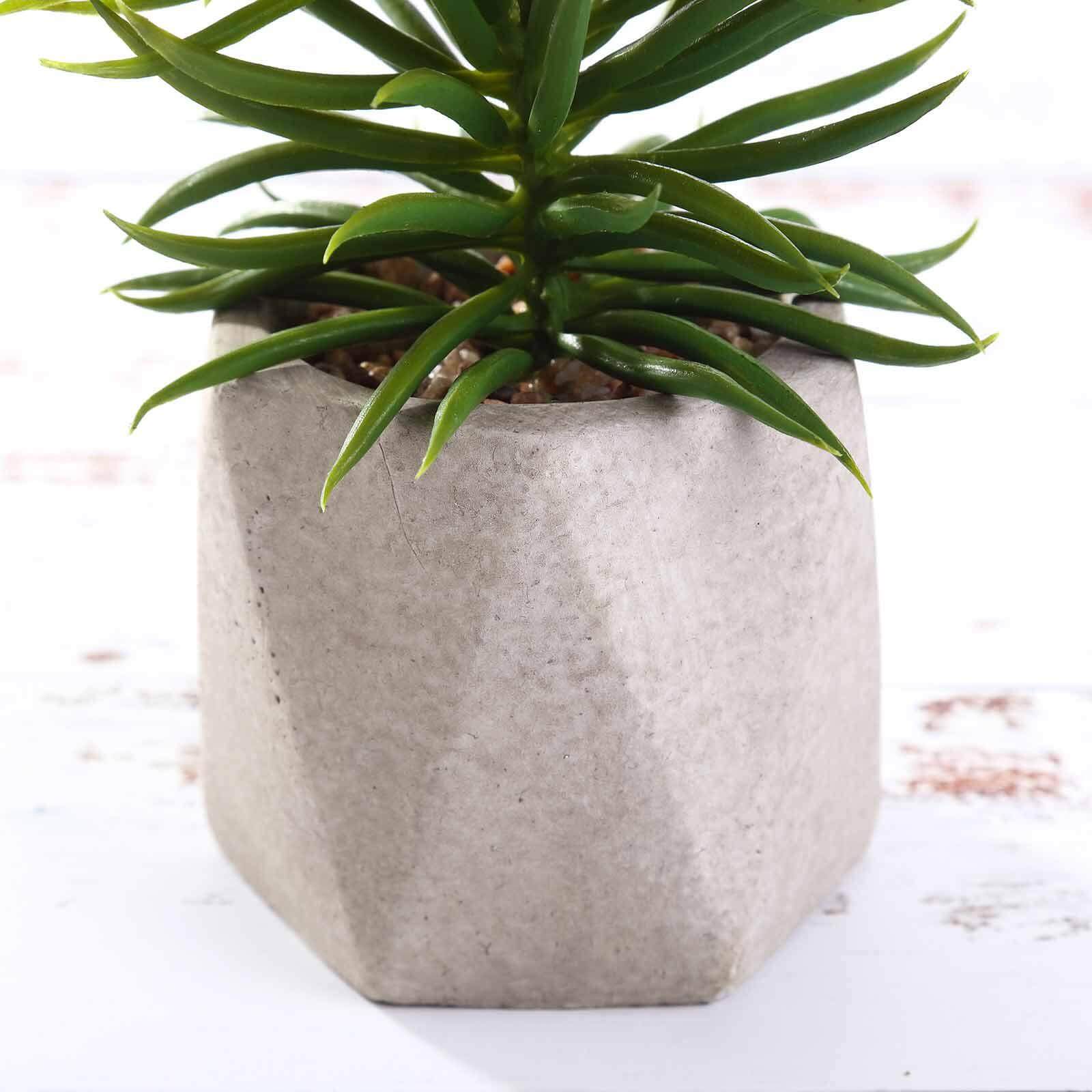 3 - Pack Crassula Artificial Succulents in Geometric Ceramic Pot - Lifelike Decorative Faux Plants for Home Office & Event Design 8" - Linen Luxes