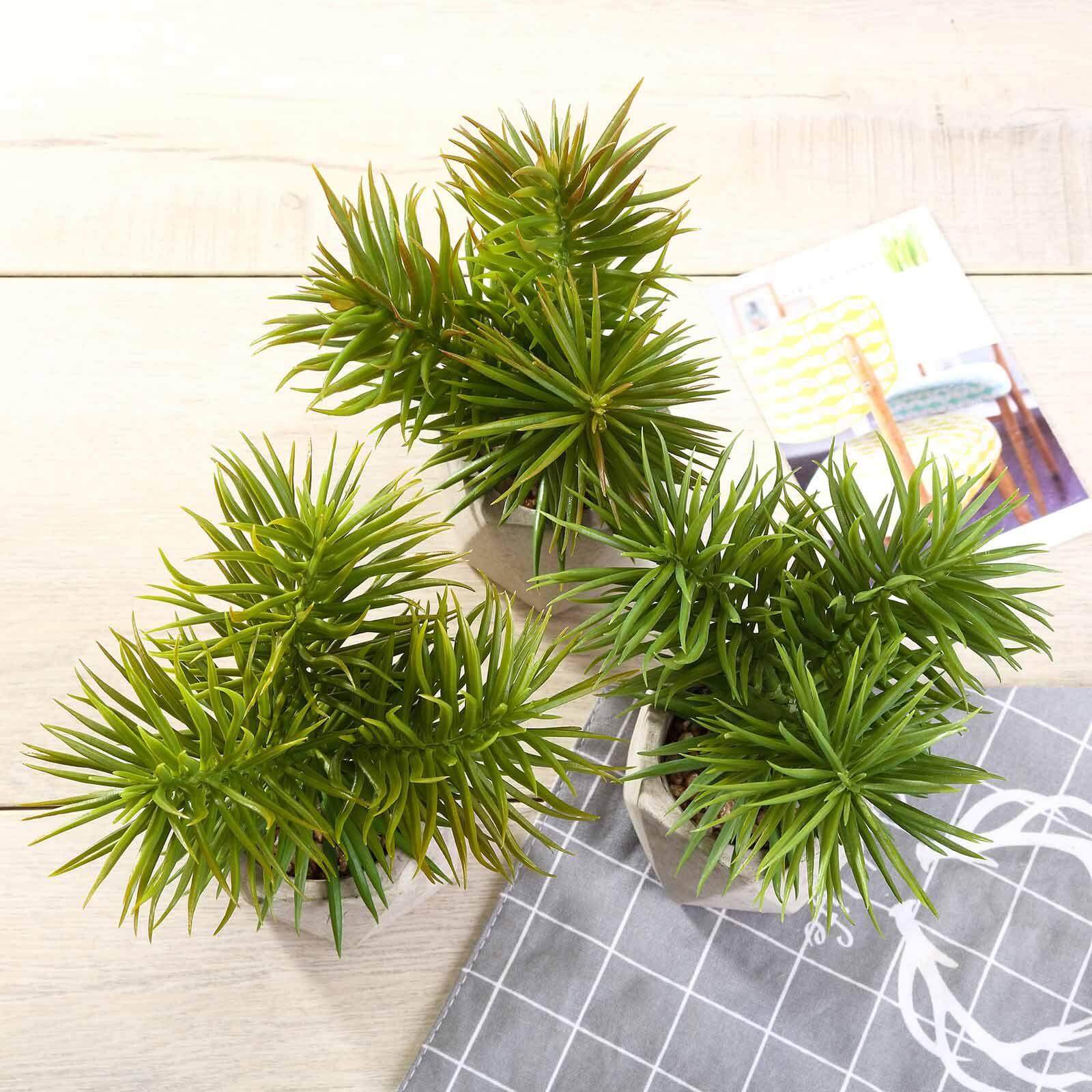 3 - Pack Crassula Artificial Succulents in Geometric Ceramic Pot - Lifelike Decorative Faux Plants for Home Office & Event Design 8" - Linen Luxes