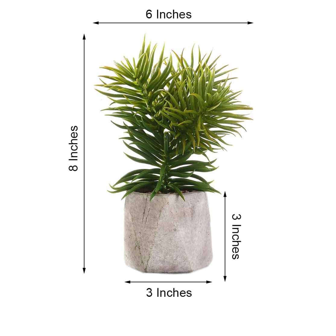 3 - Pack Crassula Artificial Succulents in Geometric Ceramic Pot - Lifelike Decorative Faux Plants for Home Office & Event Design 8" - Linen Luxes