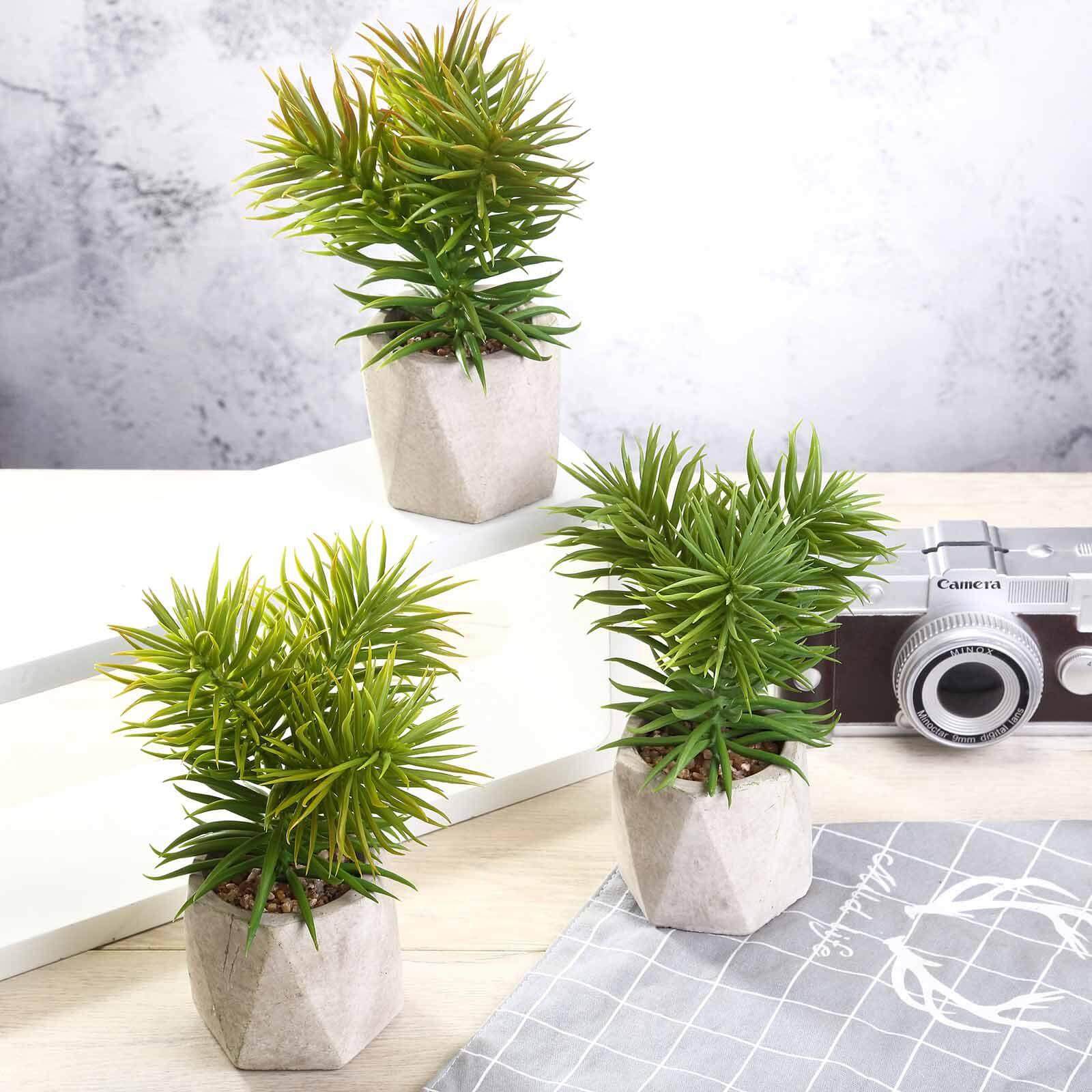3 - Pack Crassula Artificial Succulents in Geometric Ceramic Pot - Lifelike Decorative Faux Plants for Home Office & Event Design 8" - Linen Luxes