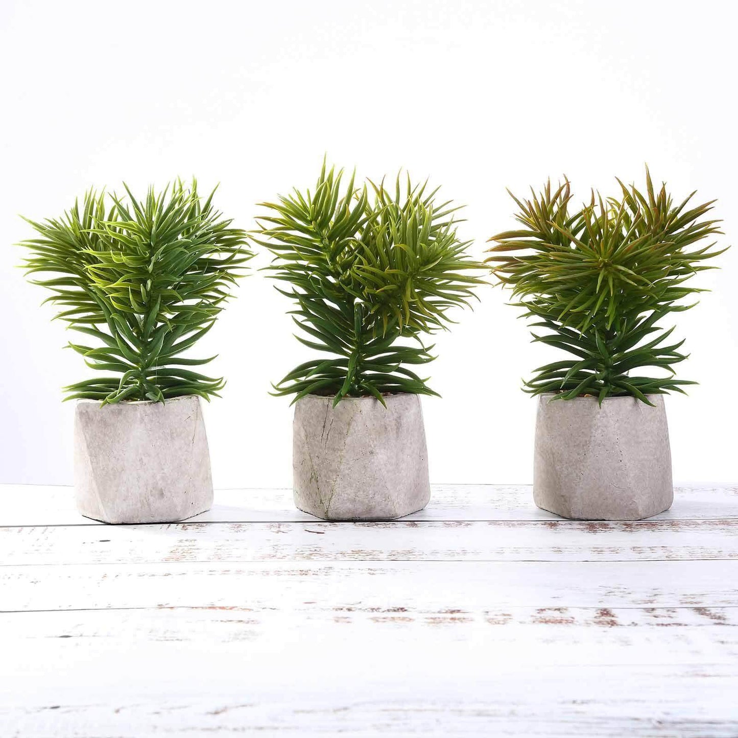 3 - Pack Crassula Artificial Succulents in Geometric Ceramic Pot - Lifelike Decorative Faux Plants for Home Office & Event Design 8" - Linen Luxes