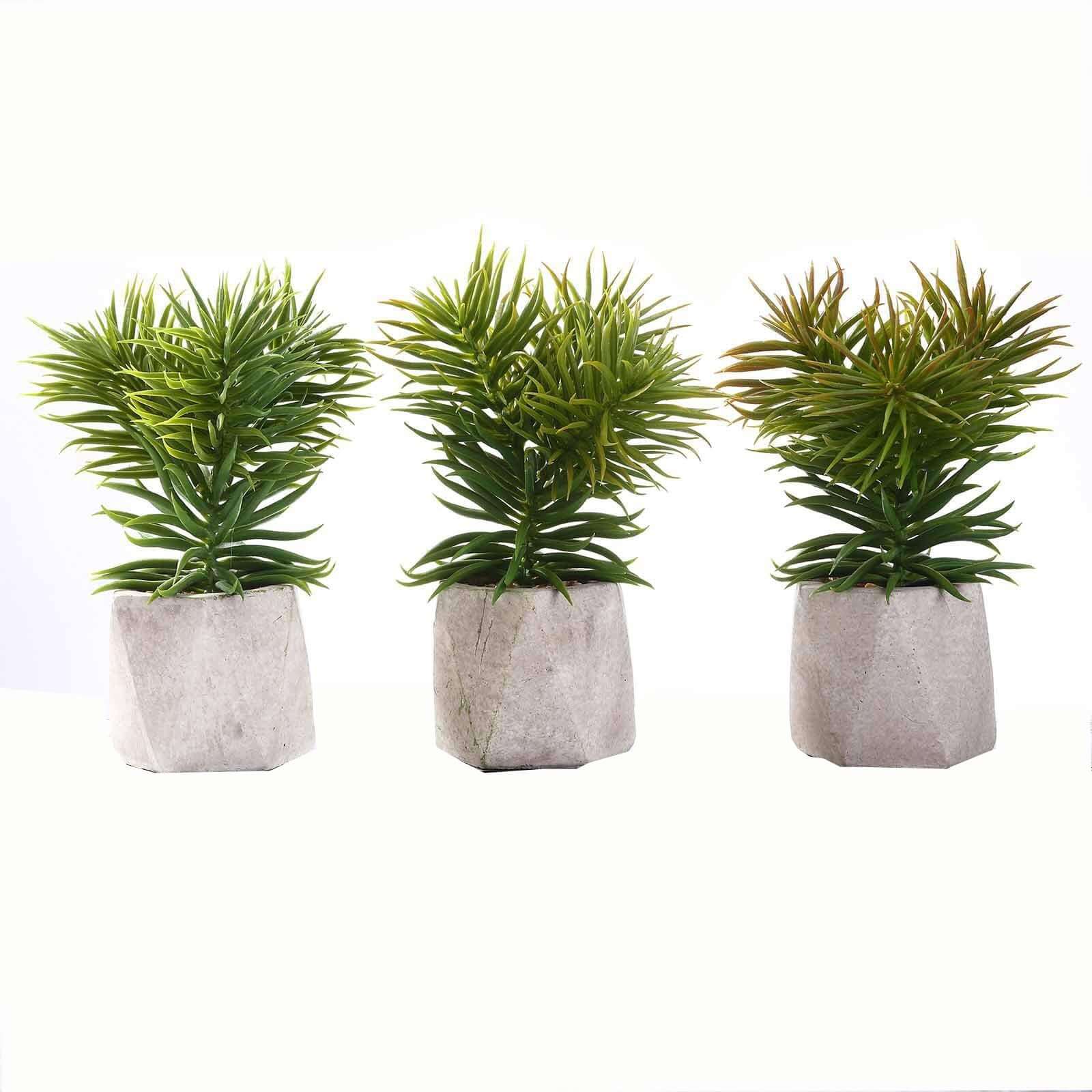 3 - Pack Crassula Artificial Succulents in Geometric Ceramic Pot - Lifelike Decorative Faux Plants for Home Office & Event Design 8" - Linen Luxes