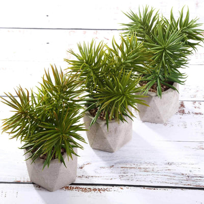 3 - Pack Crassula Artificial Succulents in Geometric Ceramic Pot - Lifelike Decorative Faux Plants for Home Office & Event Design 8" - Linen Luxes