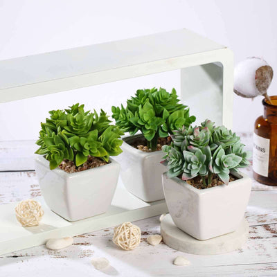 3 - Pack Echeveria Artificial Succulents in Ceramic Pot Green - Lifelike Decorative Faux Plants for Home Office & Event Design 4" - Linen Luxes