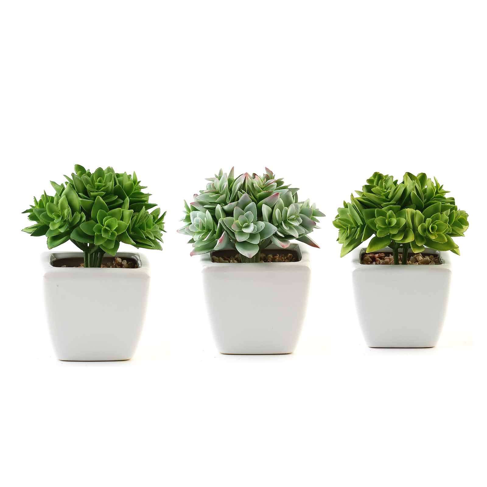 3 - Pack Echeveria Artificial Succulents in Ceramic Pot Green - Lifelike Decorative Faux Plants for Home Office & Event Design 4" - Linen Luxes