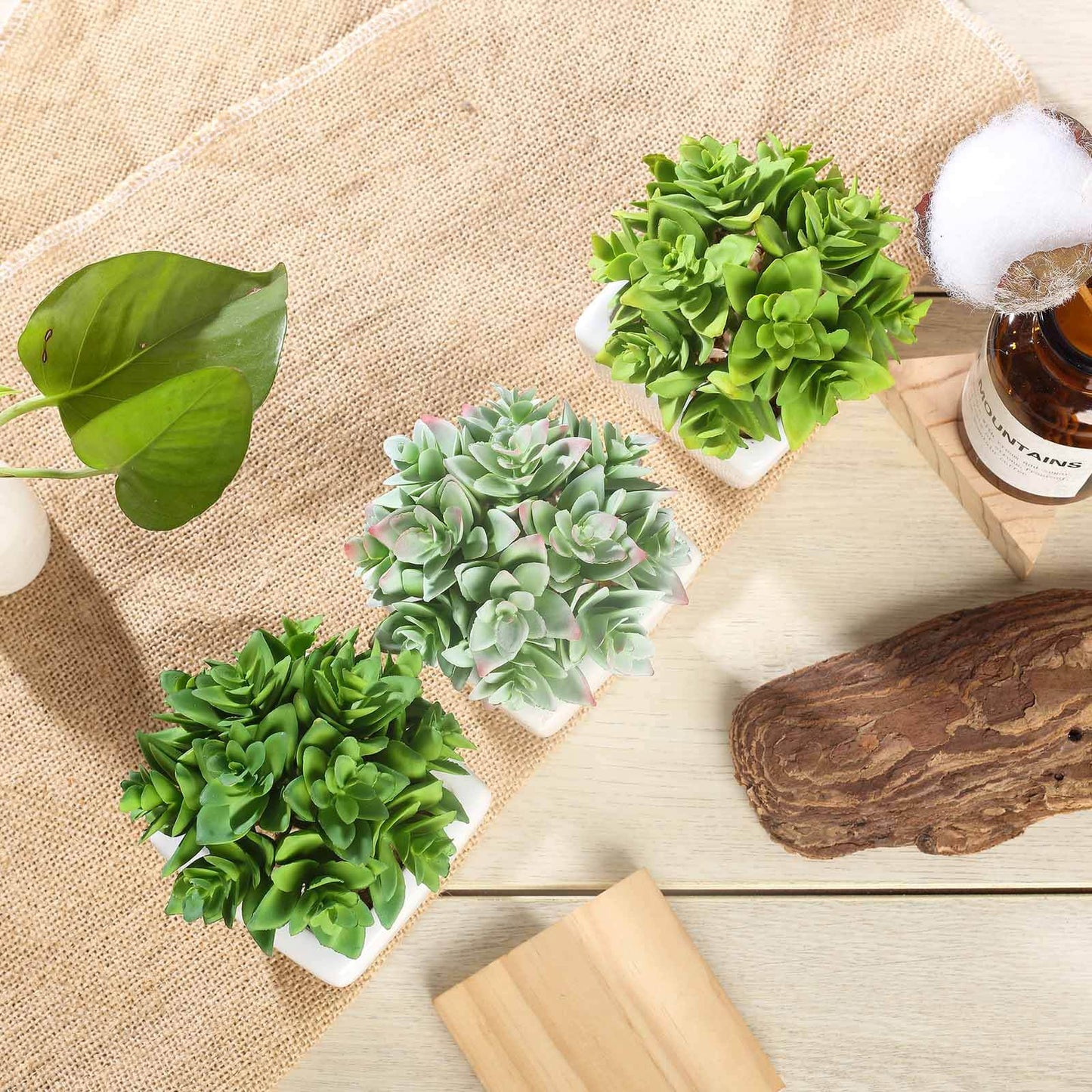 3 - Pack Echeveria Artificial Succulents in Ceramic Pot Green - Lifelike Decorative Faux Plants for Home Office & Event Design 4" - Linen Luxes