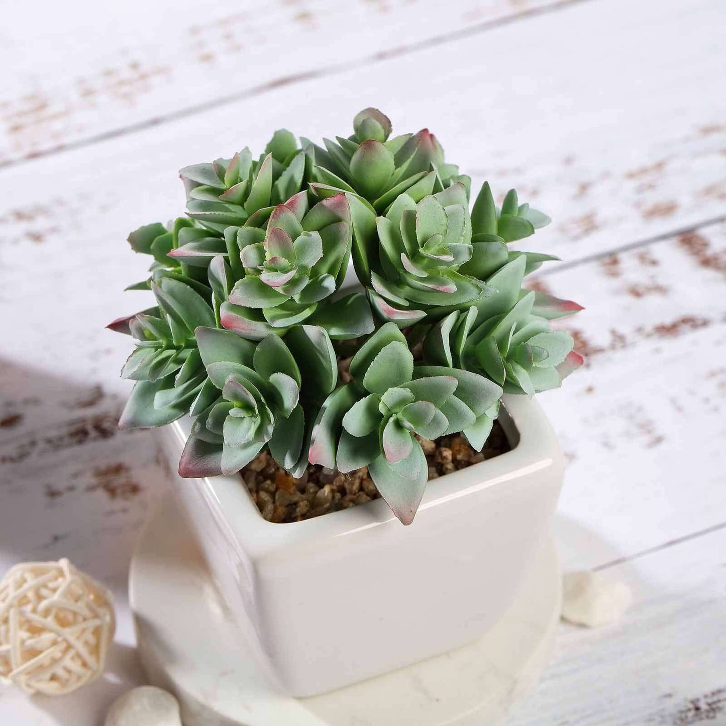 3 - Pack Echeveria Artificial Succulents in Ceramic Pot Green - Lifelike Decorative Faux Plants for Home Office & Event Design 4" - Linen Luxes