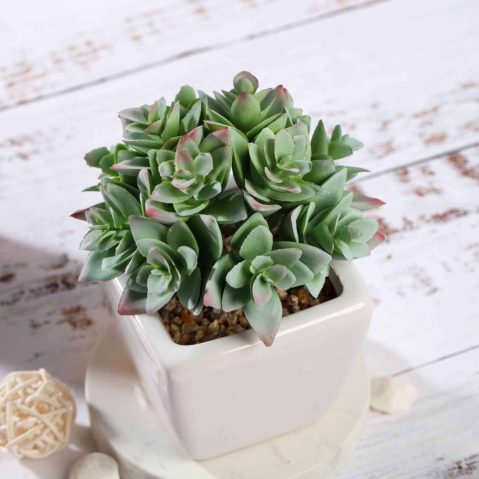3 - Pack Echeveria Artificial Succulents in Ceramic Pot Green - Lifelike Decorative Faux Plants for Home Office & Event Design 4" - Linen Luxes