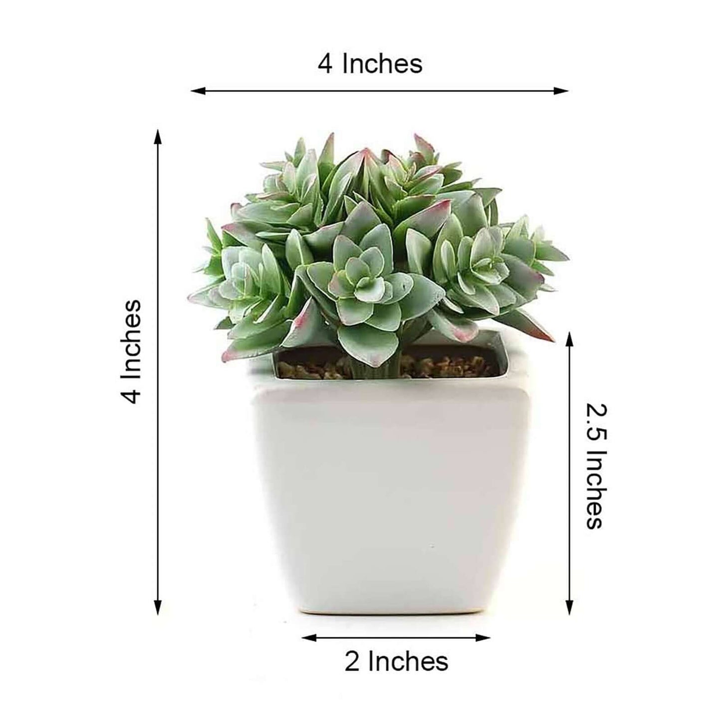 3 - Pack Echeveria Artificial Succulents in Ceramic Pot Green - Lifelike Decorative Faux Plants for Home Office & Event Design 4" - Linen Luxes