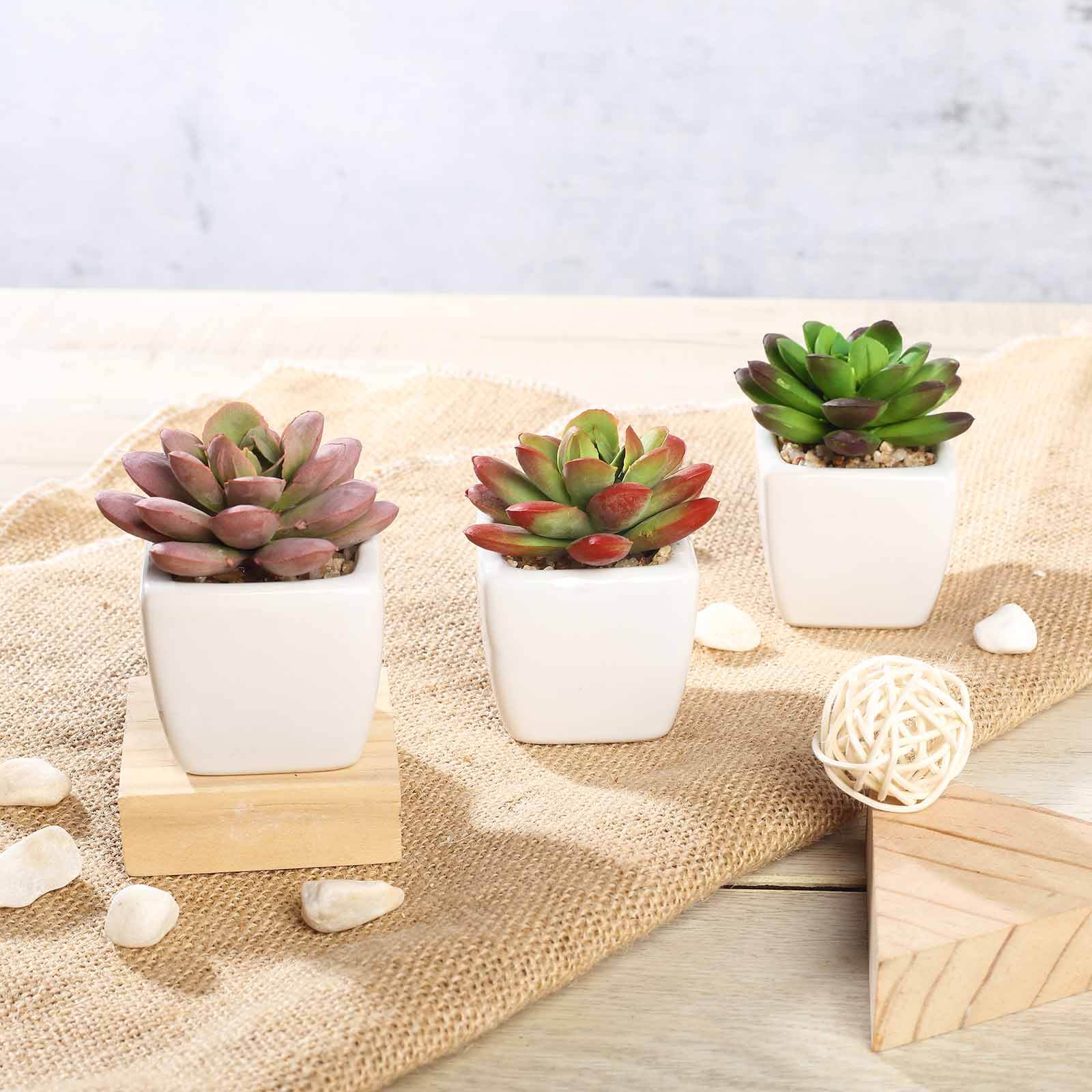 3 - Pack Echeveria Elegans Artificial Succulents in Ceramic Pot - Lifelike Decorative Faux Plants for Home Office & Event Design 3" - Linen Luxes