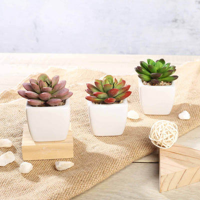 3 - Pack Echeveria Elegans Artificial Succulents in Ceramic Pot - Lifelike Decorative Faux Plants for Home Office & Event Design 3" - Linen Luxes