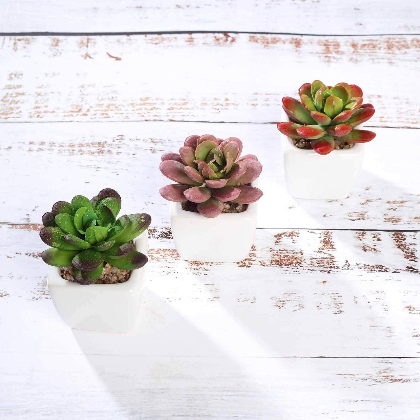 3 - Pack Echeveria Elegans Artificial Succulents in Ceramic Pot - Lifelike Decorative Faux Plants for Home Office & Event Design 3" - Linen Luxes