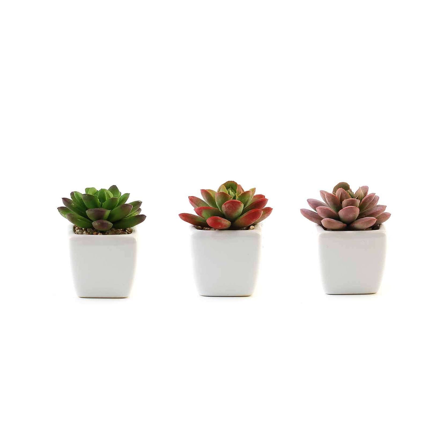 3 - Pack Echeveria Elegans Artificial Succulents in Ceramic Pot - Lifelike Decorative Faux Plants for Home Office & Event Design 3" - Linen Luxes