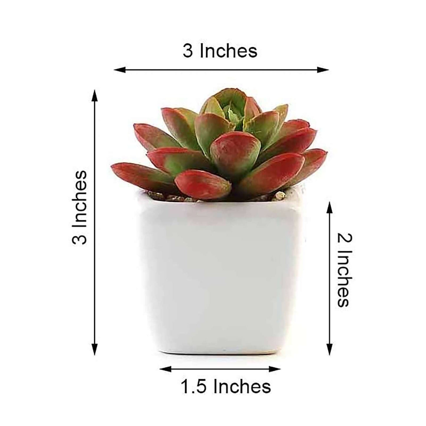 3 - Pack Echeveria Elegans Artificial Succulents in Ceramic Pot - Lifelike Decorative Faux Plants for Home Office & Event Design 3" - Linen Luxes