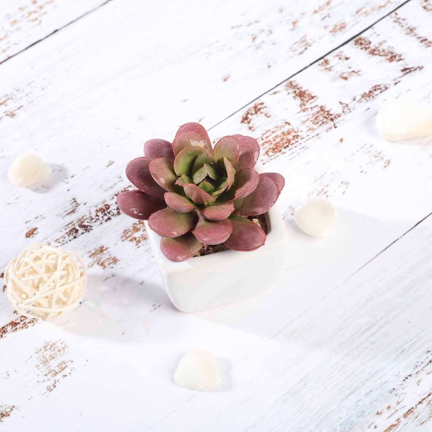 3 - Pack Echeveria Elegans Artificial Succulents in Ceramic Pot - Lifelike Decorative Faux Plants for Home Office & Event Design 3" - Linen Luxes