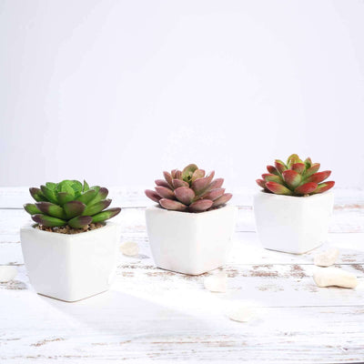 3 - Pack Echeveria Elegans Artificial Succulents in Ceramic Pot - Lifelike Decorative Faux Plants for Home Office & Event Design 3" - Linen Luxes