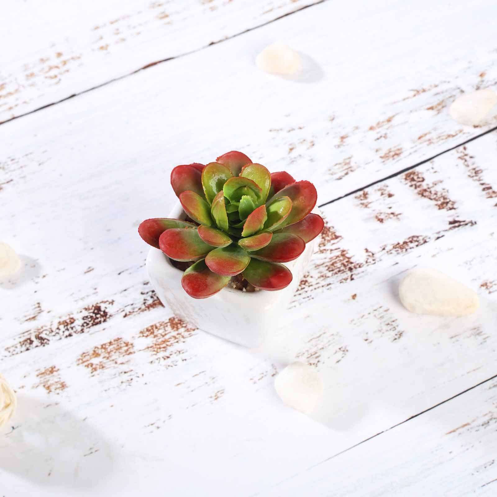 3 - Pack Echeveria Elegans Artificial Succulents in Ceramic Pot - Lifelike Decorative Faux Plants for Home Office & Event Design 3" - Linen Luxes