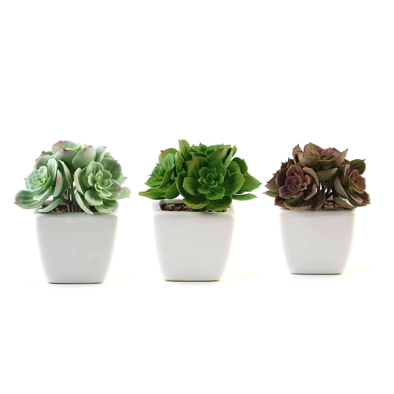 3 - Pack Echeveria Elegans Artificial Succulents in Ceramic Pot - Lifelike Decorative Faux Plants for Home Office & Event Design 5" - Linen Luxes
