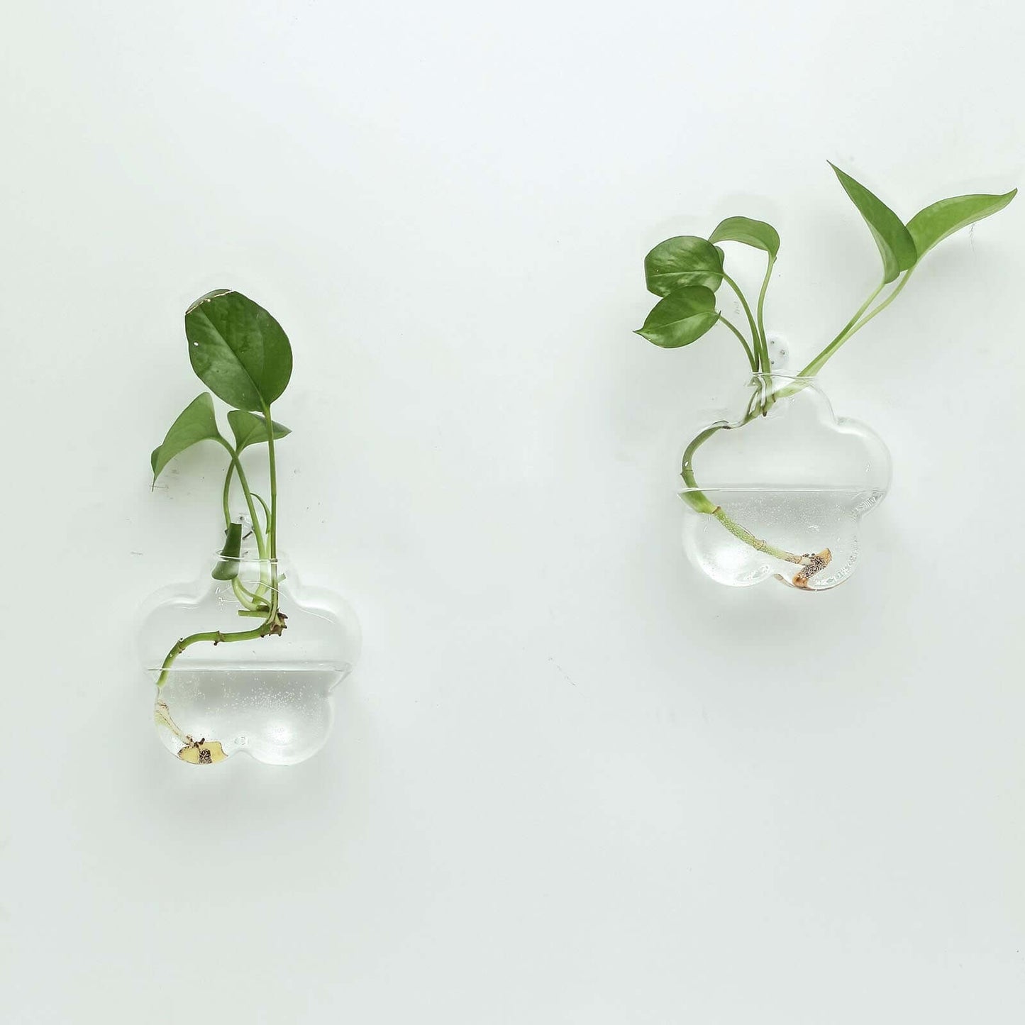 3 - Pack Glass Wall Vase Hanging Flower Shaped Design Indoor Planters - Modern Wall Mounted Terrariums for Living Spaces - Linen Luxes