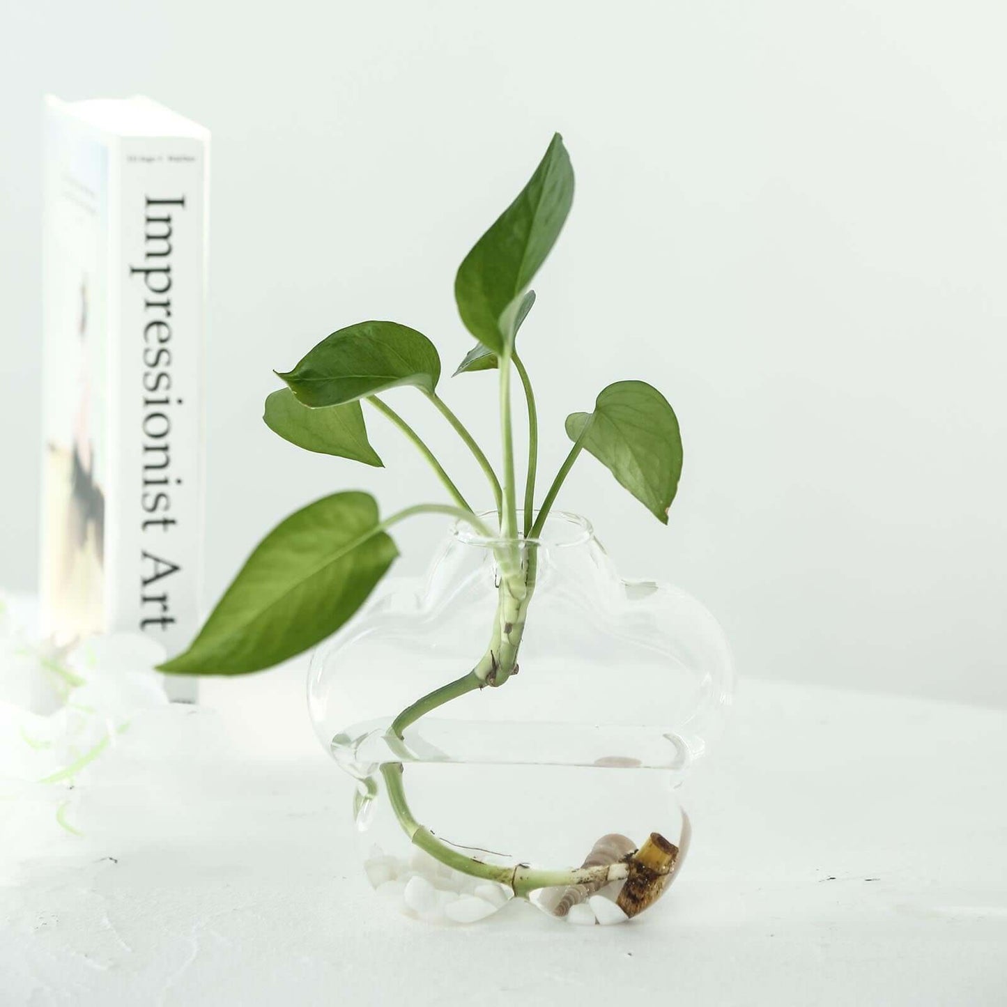 3 - Pack Glass Wall Vase Hanging Flower Shaped Design Indoor Planters - Modern Wall Mounted Terrariums for Living Spaces - Linen Luxes