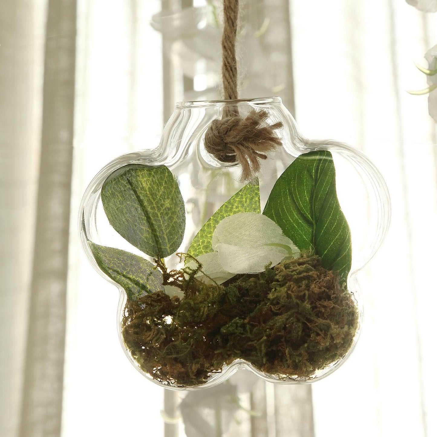 3 - Pack Glass Wall Vase Hanging Flower Shaped Design Indoor Planters - Modern Wall Mounted Terrariums for Living Spaces - Linen Luxes