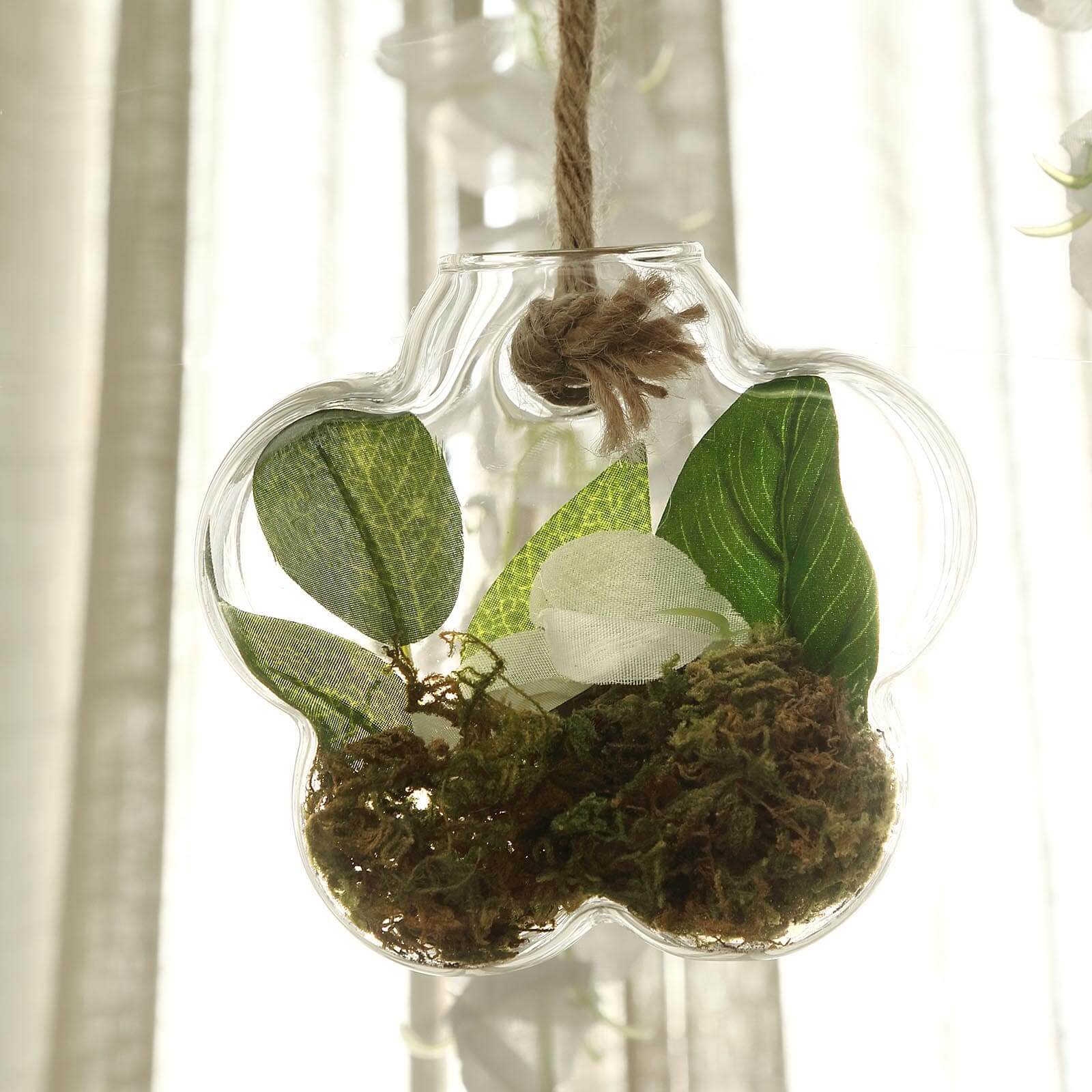 3 - Pack Glass Wall Vase Hanging Flower Shaped Design Indoor Planters - Modern Wall Mounted Terrariums for Living Spaces - Linen Luxes