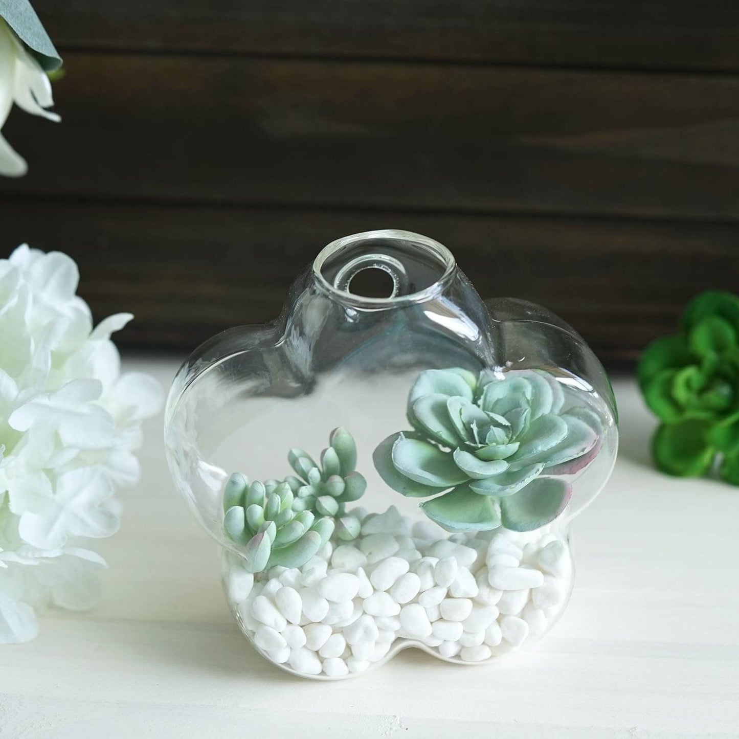 3 - Pack Glass Wall Vase Hanging Flower Shaped Design Indoor Planters - Modern Wall Mounted Terrariums for Living Spaces - Linen Luxes