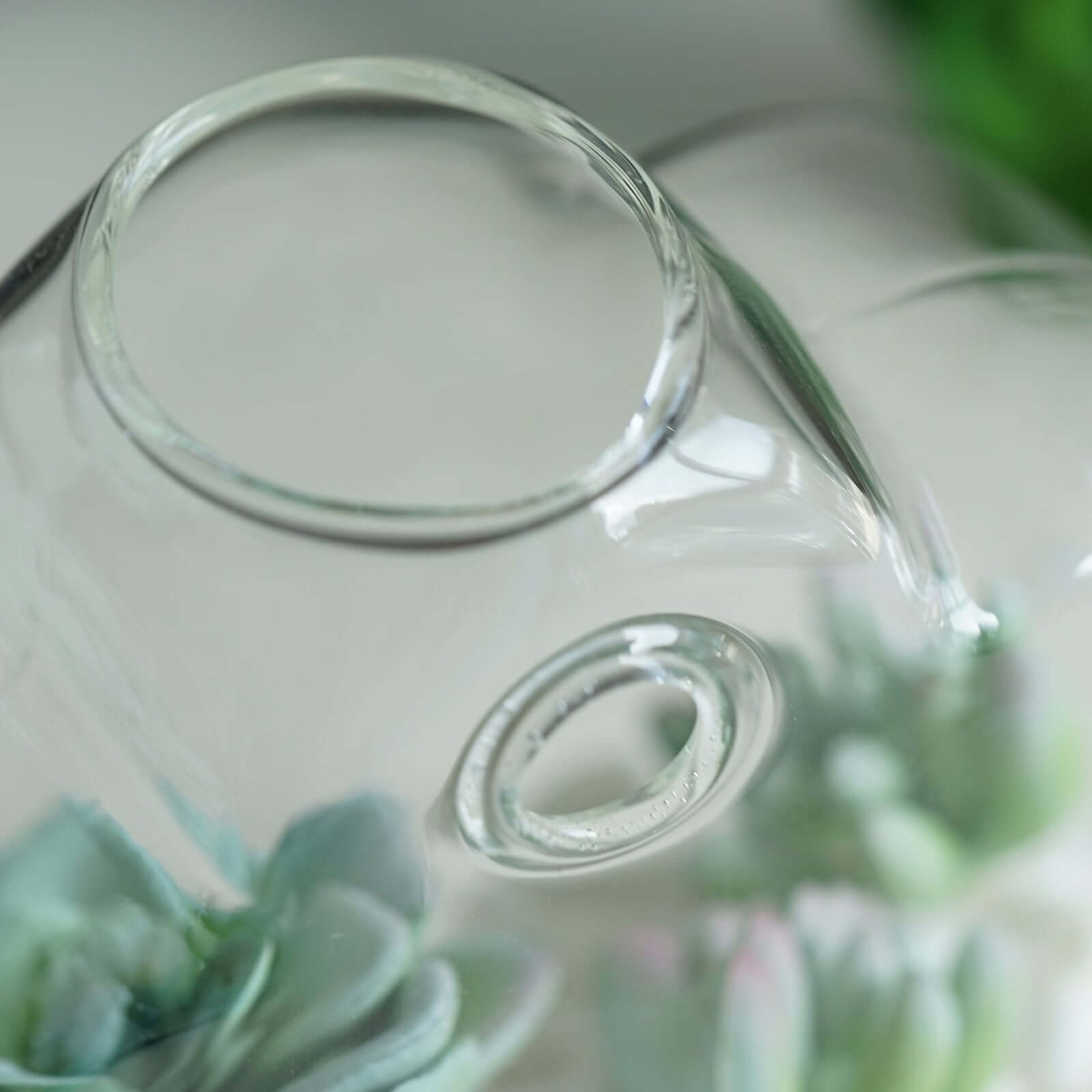 3 - Pack Glass Wall Vase Hanging Flower Shaped Design Indoor Planters - Modern Wall Mounted Terrariums for Living Spaces - Linen Luxes