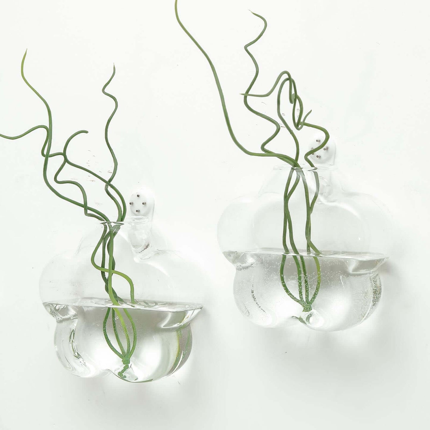 3 - Pack Glass Wall Vase Hanging Flower Shaped Design Indoor Planters - Modern Wall Mounted Terrariums for Living Spaces - Linen Luxes