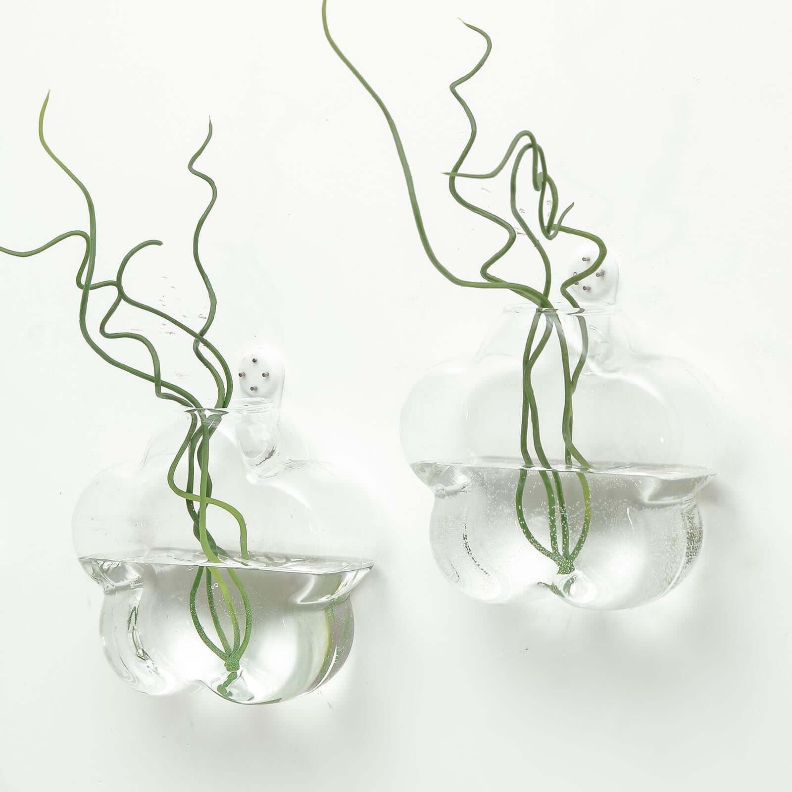 3 - Pack Glass Wall Vase Hanging Flower Shaped Design Indoor Planters - Modern Wall Mounted Terrariums for Living Spaces - Linen Luxes