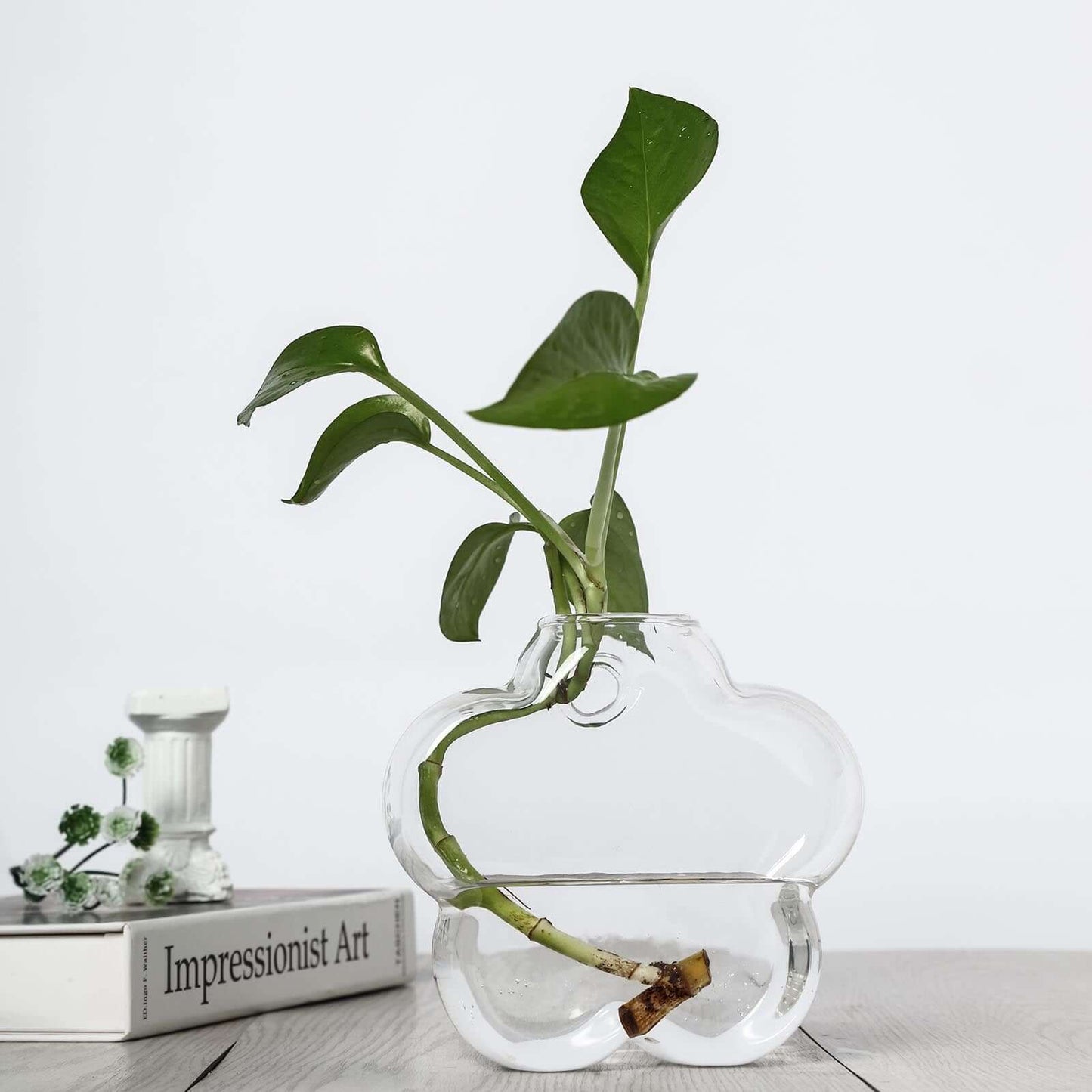 3 - Pack Glass Wall Vase Hanging Flower Shaped Design Indoor Planters - Modern Wall Mounted Terrariums for Living Spaces - Linen Luxes